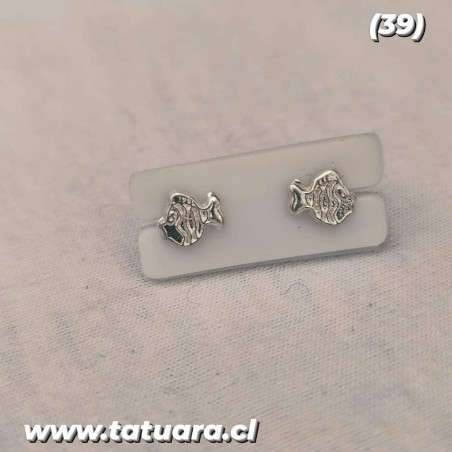 (39) Aros apegados con T.S.